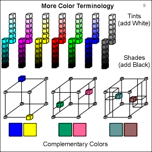 Color Terms