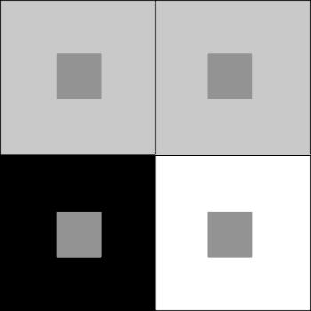 How are the gray squares different?